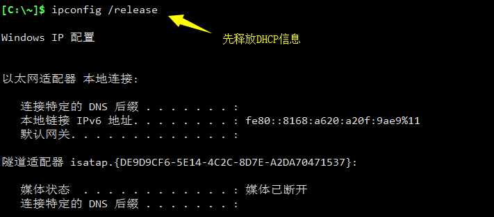 image-20240517173258398