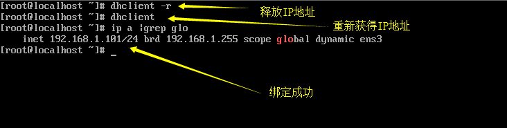 image-20240517173307392