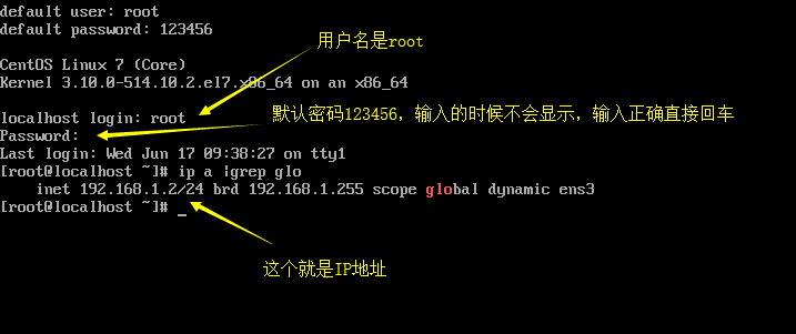 image-20240517173302923